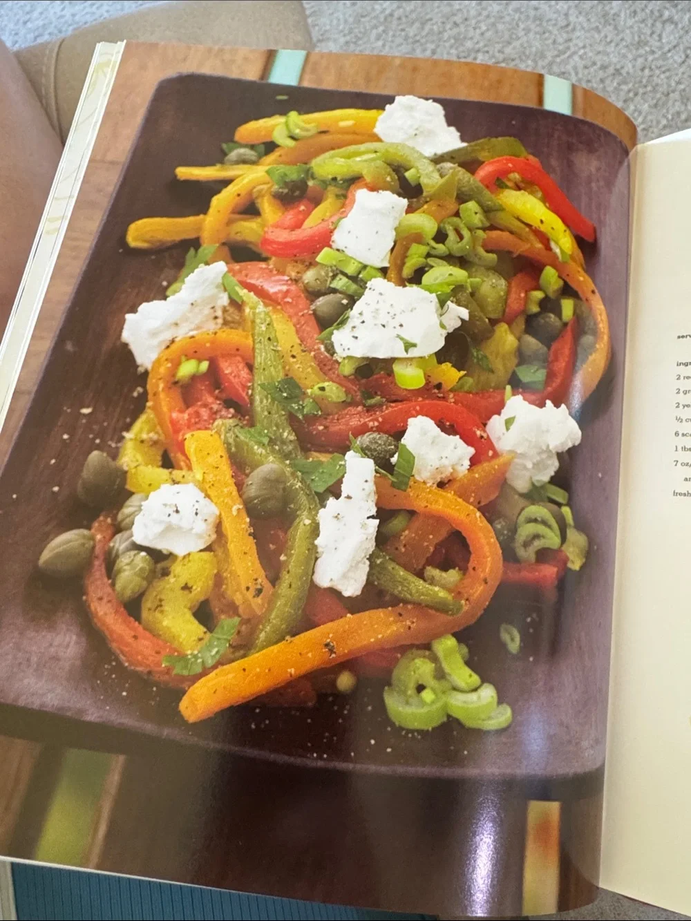 Salad Cookbook Hardcover 2009 GUC